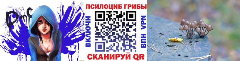 blacksprut   что такое   Соликамск  Псилоцибиновые грибы Psilocybine cubensis 
